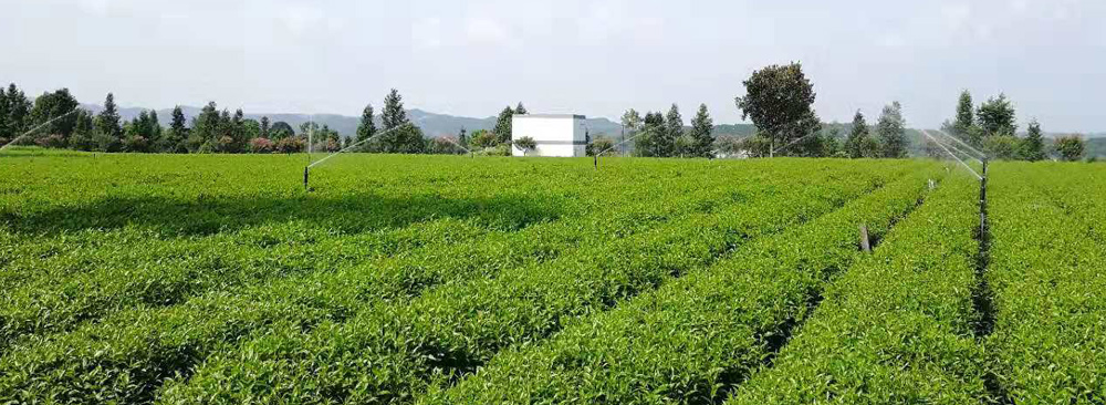 長沙沁園灌溉有限公司_湖南農業水肥一體化灌溉|湖南別墅庭院智能灌溉