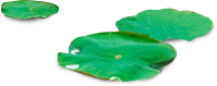 長沙沁園灌溉有限公司_湖南農業水肥一體化灌溉|湖南別墅庭院智能灌溉