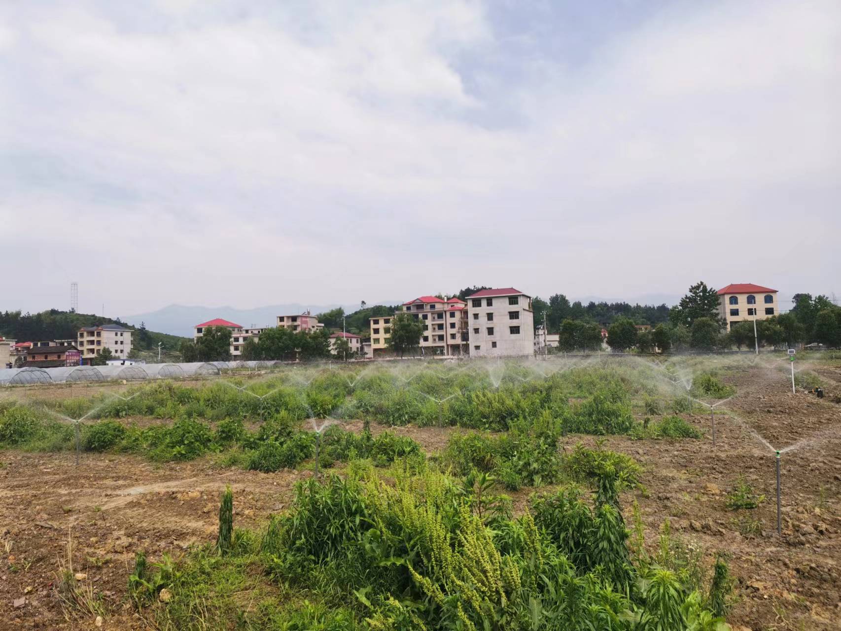 湖南農業水肥一體化灌溉,湖南別墅庭院智能灌溉,長沙沁園灌溉有限公司,湖南足球場噴灌,長沙足球場噴灌,足球場噴灌,足球場灌溉,長沙足球場灌溉,湖南足球場灌溉