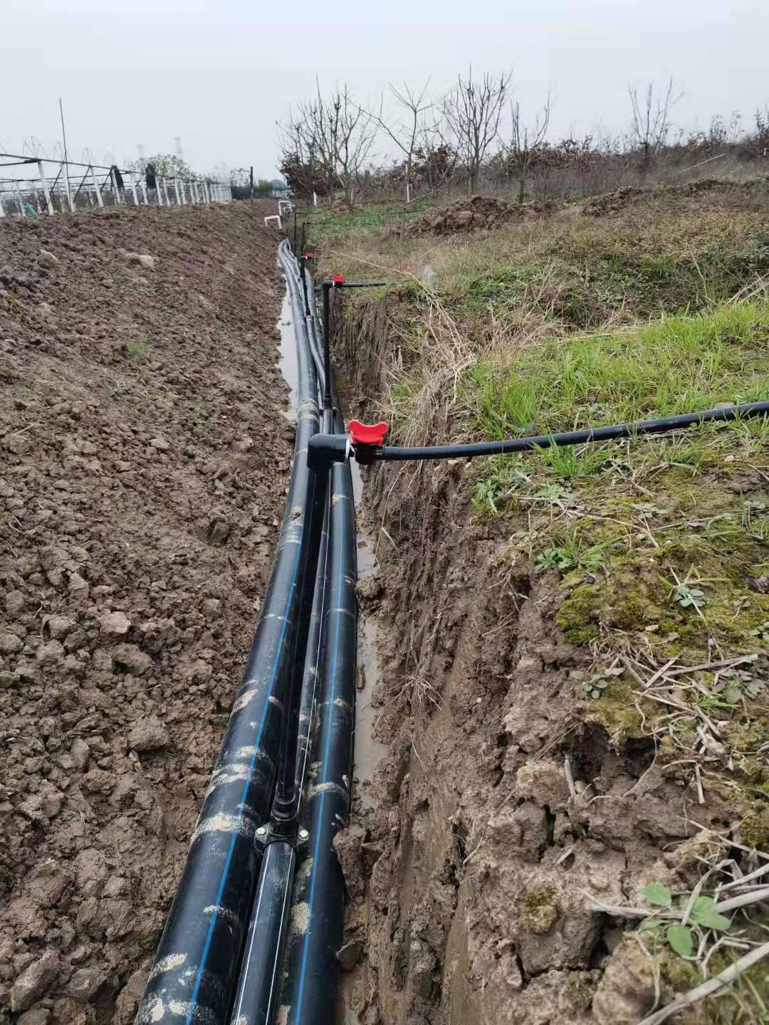 湖南農業水肥一體化灌溉,湖南別墅庭院智能灌溉,長沙沁園灌溉有限公司,湖南足球場噴灌,長沙足球場噴灌,足球場噴灌,足球場灌溉,長沙足球場灌溉,湖南足球場灌溉