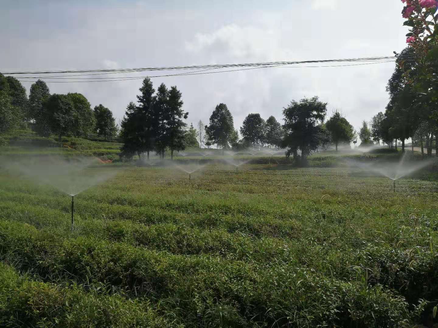 湖南農業水肥一體化灌溉,湖南別墅庭院智能灌溉,長沙沁園灌溉有限公司,湖南足球場噴灌,長沙足球場噴灌,足球場噴灌,足球場灌溉,長沙足球場灌溉,湖南足球場灌溉
