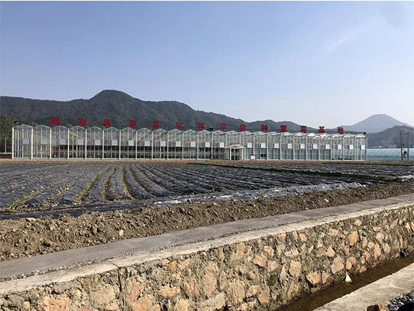 湖南農業水肥一體化灌溉,湖南別墅庭院智能灌溉,長沙沁園灌溉有限公司,湖南足球場噴灌,長沙足球場噴灌,足球場噴灌,足球場灌溉,長沙足球場灌溉,湖南足球場灌溉