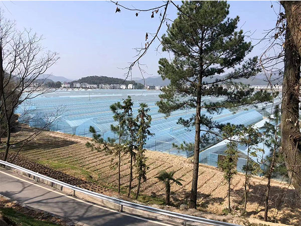 湖南農業水肥一體化灌溉,湖南別墅庭院智能灌溉,長沙沁園灌溉有限公司,湖南足球場噴灌,長沙足球場噴灌,足球場噴灌,足球場灌溉,長沙足球場灌溉,湖南足球場灌溉