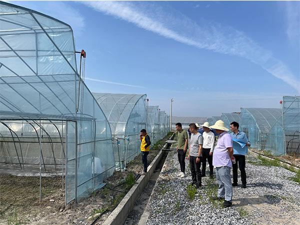 湖南農業水肥一體化灌溉,湖南別墅庭院智能灌溉,長沙沁園灌溉有限公司,湖南足球場噴灌,長沙足球場噴灌,足球場噴灌,足球場灌溉,長沙足球場灌溉,湖南足球場灌溉